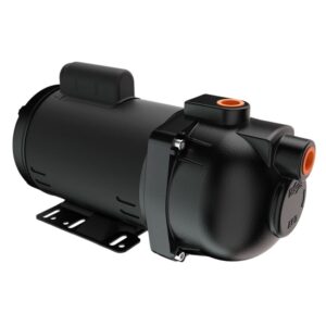 Bomba de Água Auto Aspirante Pratika AP3C Monofásica 2CV Bivolt Dancor