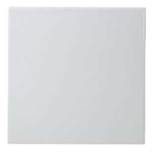 Revestimento Bianco Bold Acetinado Branco 20x20cm 1,50m2