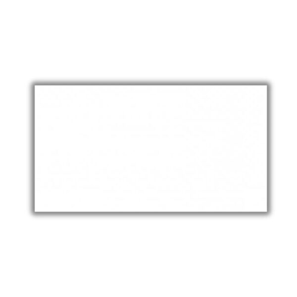 Revestimento 30200 Retificado Brilhante Branco 30x61cm 2,04m2