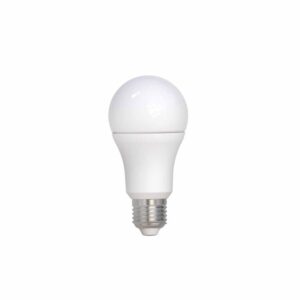 Lâmpada LED Bulbo Luz Branca E27 Bivolt Avant