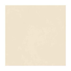 Piso Cimentício Retificado Acetinado Bege 76x76cm 3,46m2