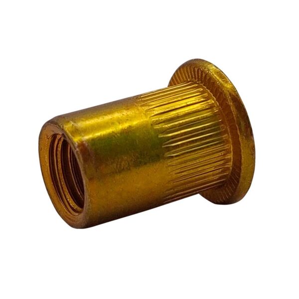 Rebite Rosca Inteira Bicromatizado 25 Peças Sforplast